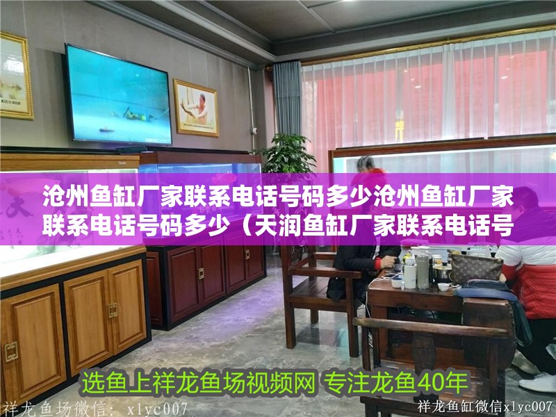 滄州魚缸廠家聯系電話號碼多少滄州魚缸廠家聯系電話號碼多少（天潤魚缸廠家聯系電話號碼多少滄州魚缸廠家聯系電話號碼多少）