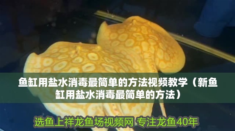 魚缸用鹽水消毒最簡單的方法視頻教學（新魚缸用鹽水消毒最簡單的方法）
