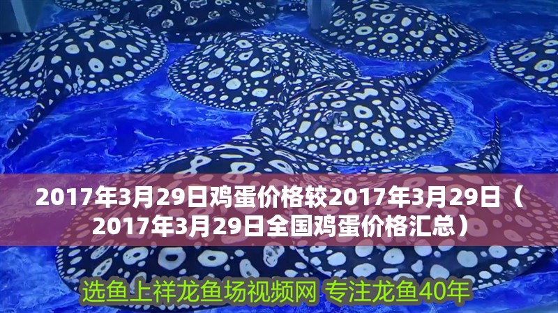 2017年3月29日雞蛋價格較2017年3月29日（2017年3月29日全國雞蛋價格匯總） 2017年3月29日雞蛋價格較2017年3月29日（2017年3月29日全國雞蛋價格匯總） 觀賞魚百科