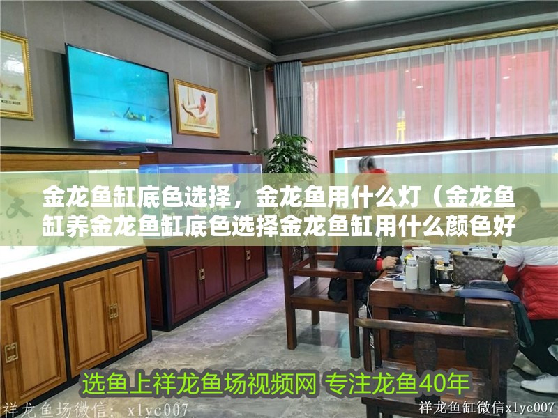 金龍魚缸底色選擇，金龍魚用什么燈（金龍魚缸養金龍魚缸底色選擇金龍魚缸用什么顏色好看）
