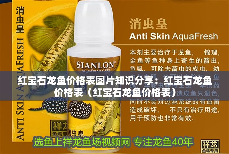 紅寶石龍魚價格表圖片知識分享：紅寶石龍魚價格表（紅寶石龍魚價格表）