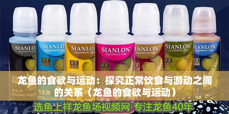 龍魚的食欲與運動：探究正常飲食與游動之間的關系（龍魚的食欲與運動）