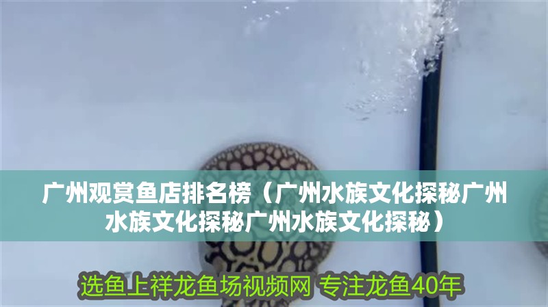 廣州觀賞魚店排名榜（廣州水族文化探秘廣州水族文化探秘廣州水族文化探秘）
