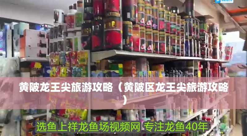 黃陂龍王尖旅游攻略（黃陂區龍王尖旅游攻略）