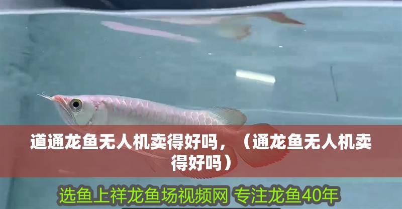道通龍魚無人機賣得好嗎，（通龍魚無人機賣得好嗎）