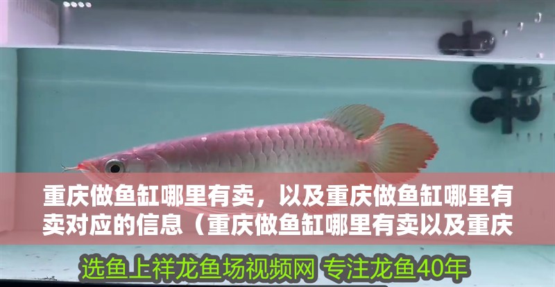 重慶做魚缸哪里有賣，以及重慶做魚缸哪里有賣對應的信息（重慶做魚缸哪里有賣以及重慶做魚缸哪里有賣對應的信息） 重慶做魚缸哪里有賣，以及重慶做魚缸哪里有賣對應的信息（重慶做魚缸哪里有賣以及重慶做魚缸哪里有賣對應的信息） 觀賞魚百科 第2張