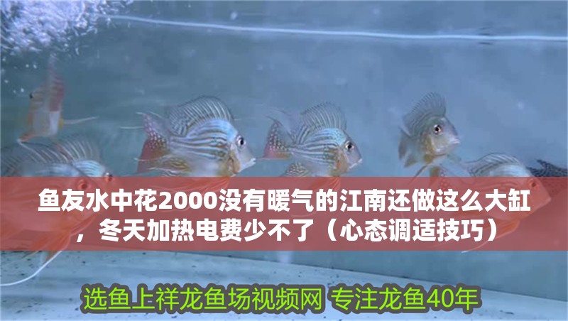 魚(yú)友水中花2000沒(méi)有暖氣的江南還做這么大缸，冬天加熱電費(fèi)少不了（心態(tài)調(diào)適技巧）