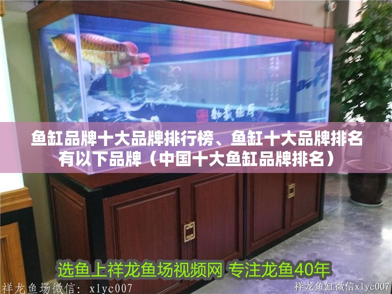 魚缸品牌十大品牌排行榜、魚缸十大品牌排名有以下品牌（中國十大魚缸品牌排名）