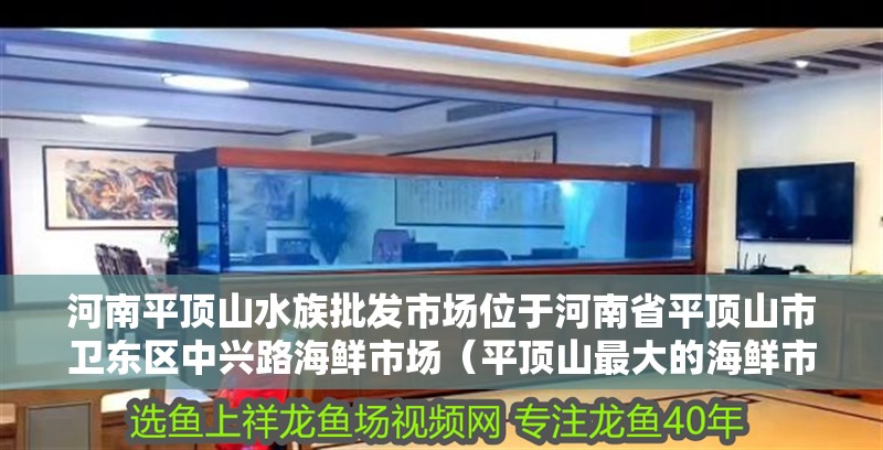 河南平頂山水族批發市場位于河南省平頂山市衛東區中興路海鮮市場（平頂山最大的海鮮市場在哪里？） 河南平頂山水族批發市場位于河南省平頂山市衛東區中興路海鮮市場（平頂山最大的海鮮市場在哪里？） 觀賞魚百科