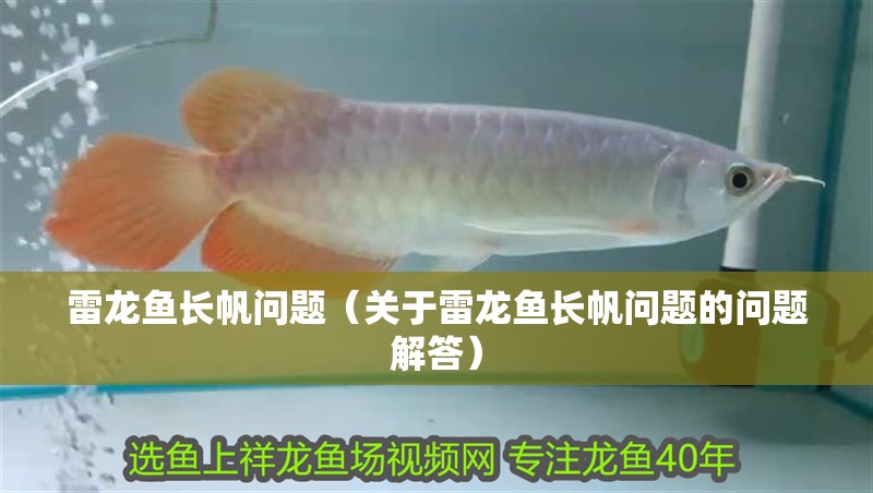 雷龍魚長帆問題（關(guān)于雷龍魚長帆問題的問題解答）