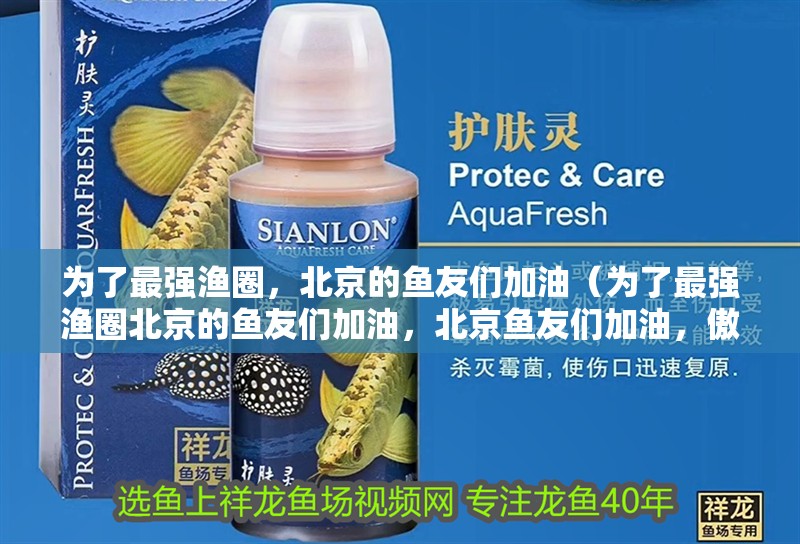 為了最強漁圈，北京的魚友們加油（為了最強漁圈北京的魚友們加油，北京魚友們加油，傲雪飛鴻評論） 為了最強漁圈，北京的魚友們加油（為了最強漁圈北京的魚友們加油，北京魚友們加油，傲雪飛鴻評論） 觀賞魚百科