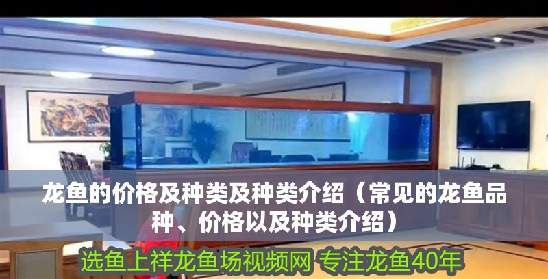 龍魚的價格及種類及種類介紹（常見的龍魚品種、價格以及種類介紹） 龍魚的價格及種類及種類介紹（常見的龍魚品種、價格以及種類介紹） 觀賞魚百科 第2張