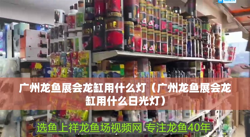 廣州龍魚展會龍缸用什么燈（廣州龍魚展會龍缸用什么日光燈）