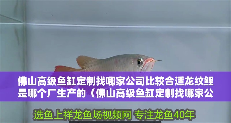 佛山高級魚缸定制找哪家公司比較合適龍紋鯉是哪個廠生產的（佛山高級魚缸定制找哪家公司合適）