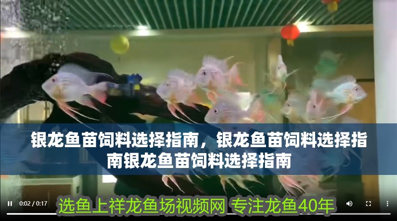 銀龍魚苗飼料選擇指南，銀龍魚苗飼料選擇指南銀龍魚苗飼料選擇指南 銀龍魚苗飼料選擇指南，銀龍魚苗飼料選擇指南銀龍魚苗飼料選擇指南 觀賞魚百科