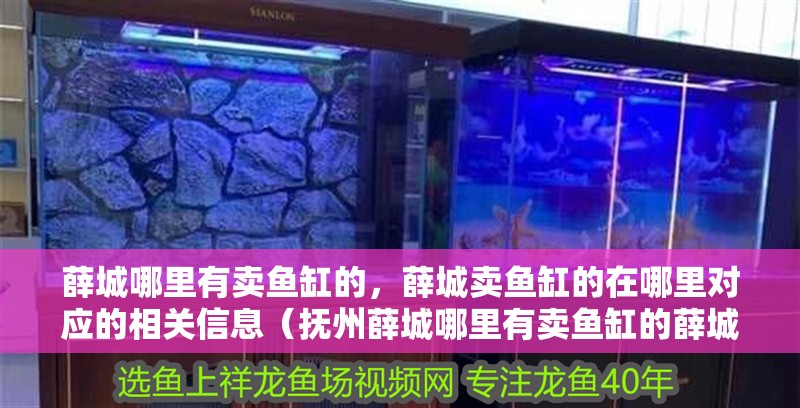 薛城哪里有賣魚缸的，薛城賣魚缸的在哪里對應的相關信息（撫州薛城哪里有賣魚缸的薛城哪里有賣魚缸的，薛城哪里有賣魚缸的）