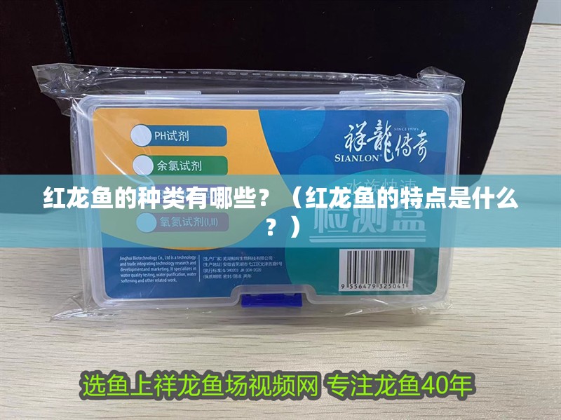 紅龍魚的種類有哪些？（紅龍魚的特點是什么？）