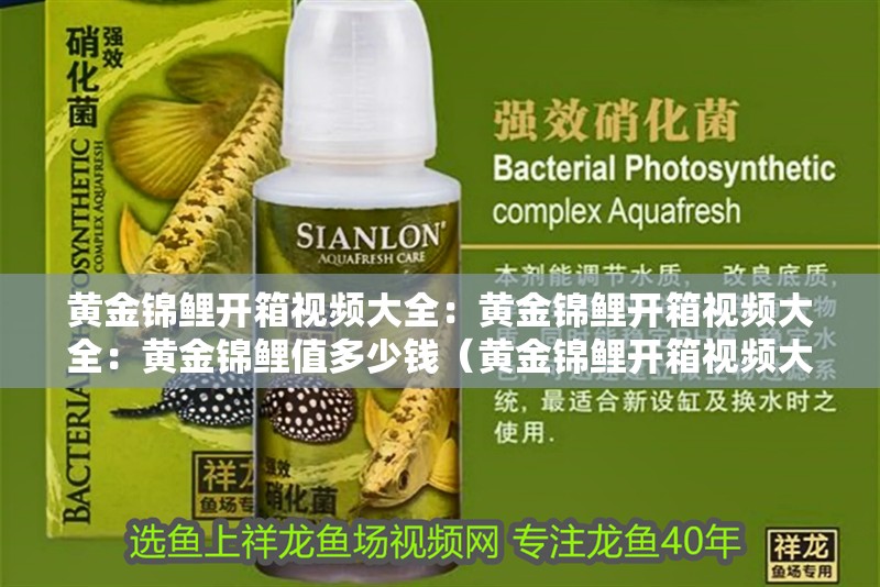 黃金錦鯉開箱視頻大全：黃金錦鯉開箱視頻大全：黃金錦鯉值多少錢（黃金錦鯉開箱視頻大全）