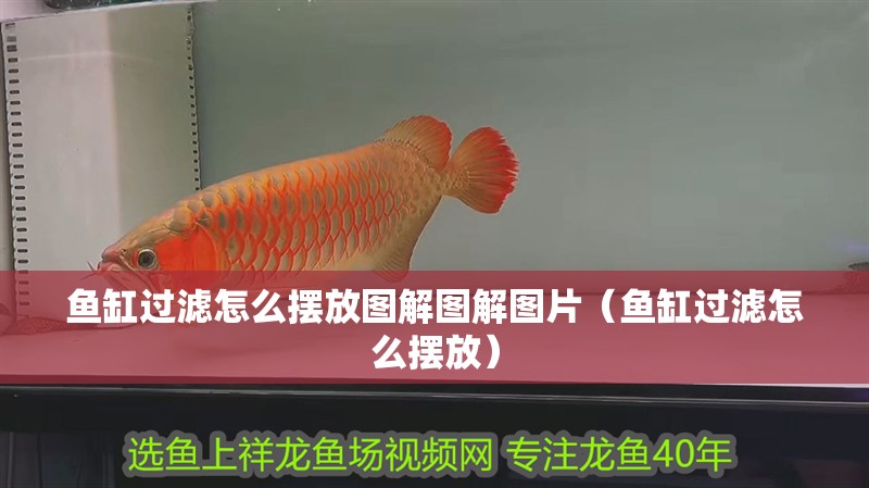 魚缸過濾怎么擺放圖解圖解圖片（魚缸過濾怎么擺放）
