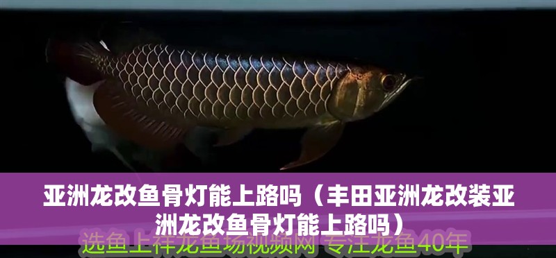 亞洲龍改魚骨燈能上路嗎（豐田亞洲龍改裝亞洲龍改魚骨燈能上路嗎）