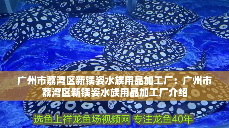 廣州市荔灣區新鎂姿水族用品加工廠：廣州市荔灣區新鎂姿水族用品加工廠介紹