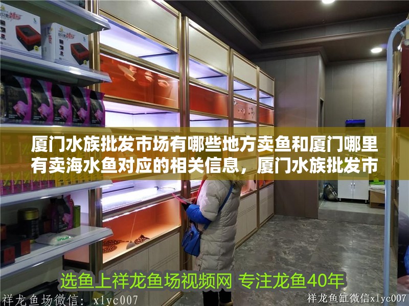 廈門水族批發市場有哪些地方賣魚和廈門哪里有賣海水魚對應的相關信息，廈門水族批發市場有哪些地方賣魚