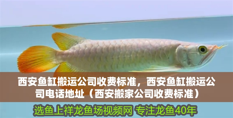 <strong><mark>西安</mark></strong>魚缸搬運公司收費標準，<strong><mark>西安</mark></strong>魚缸搬運公司電話地址（<strong><mark>西安</mark></strong>搬家公司收費標準）