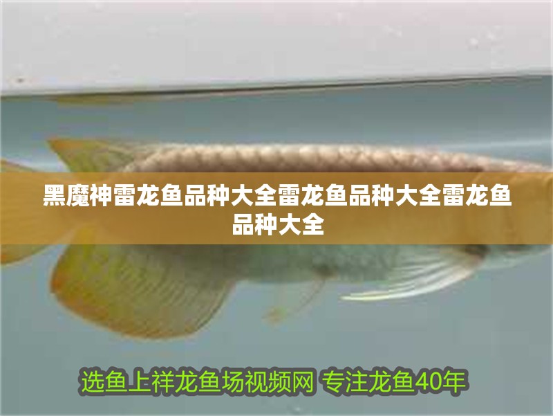 黑魔神雷龍魚品種大全雷龍魚品種大全雷龍魚品種大全