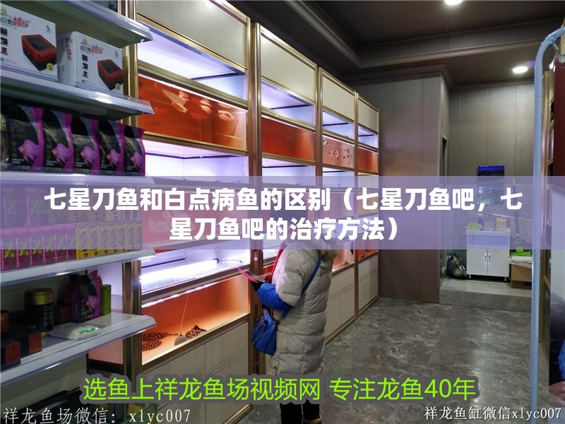 七星刀魚和白點病魚的區(qū)別（七星刀魚吧，七星刀魚吧的治療方法）