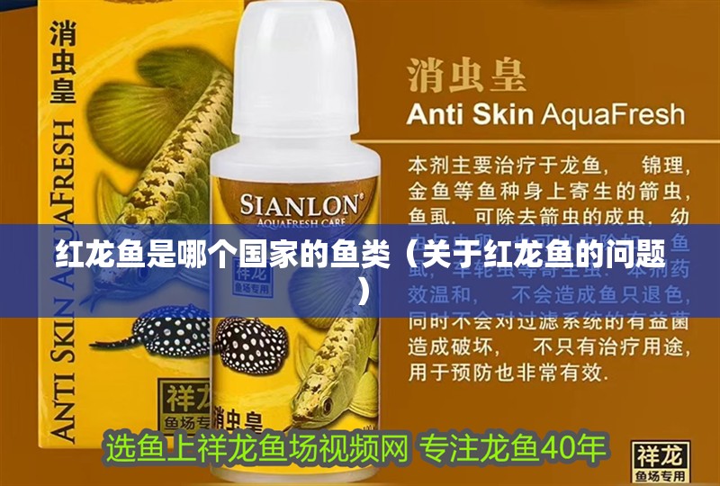 紅龍魚是哪個國家的魚類（關于紅龍魚的問題）