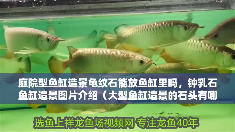 庭院型魚缸造景龜紋石能放魚缸里嗎，鐘乳石魚缸造景圖片介紹（大型魚缸造景的石頭有哪些？）