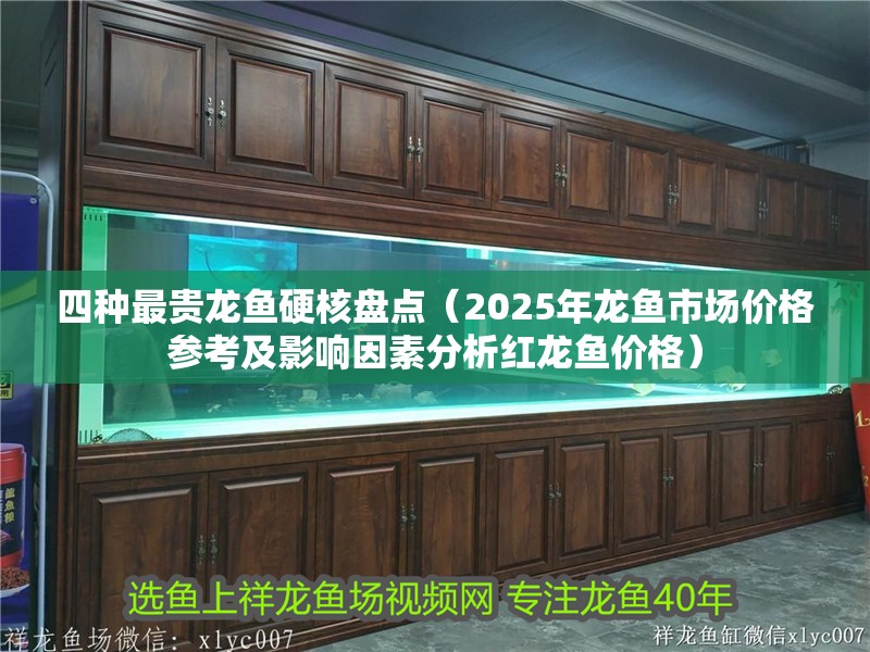 四種最貴龍魚(yú)硬核盤(pán)點(diǎn)（2025年龍魚(yú)市場(chǎng)價(jià)格參考及影響因素分析紅龍魚(yú)價(jià)格）