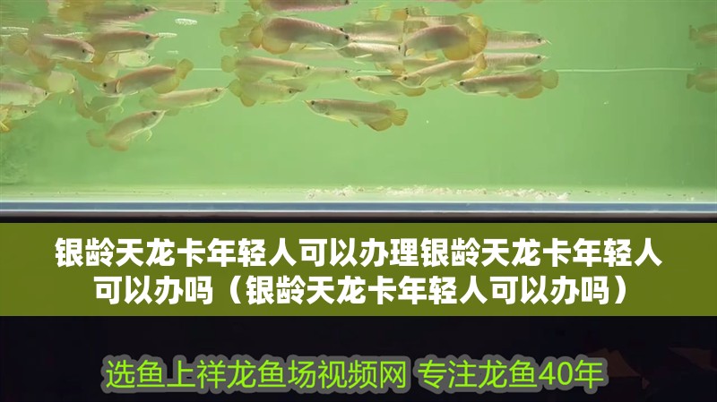 銀齡天龍卡年輕人可以辦理銀齡天龍卡年輕人可以辦嗎（銀齡天龍卡年輕人可以辦嗎）