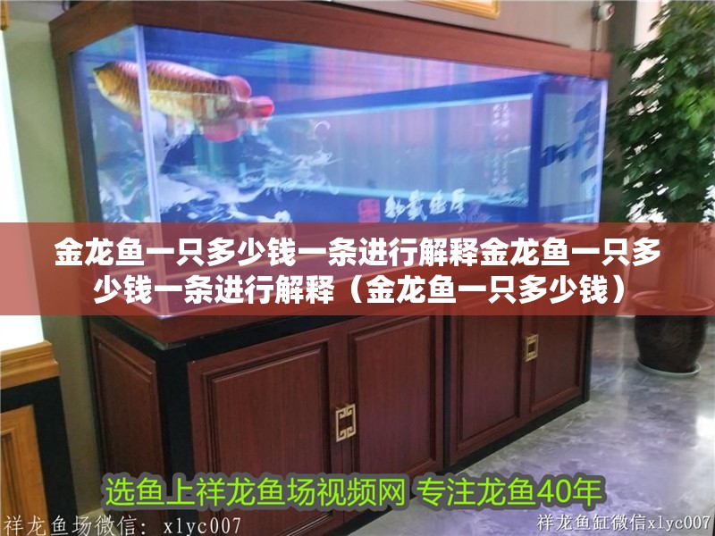 金龍魚(yú)一只多少錢(qián)一條進(jìn)行解釋金龍魚(yú)一只多少錢(qián)一條進(jìn)行解釋?zhuān)ń瘕堲~(yú)一只多少錢(qián)）