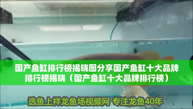 國產魚缸排行榜揭曉圖分享國產魚缸十大品牌排行榜揭曉（國產魚缸十大品牌排行榜）