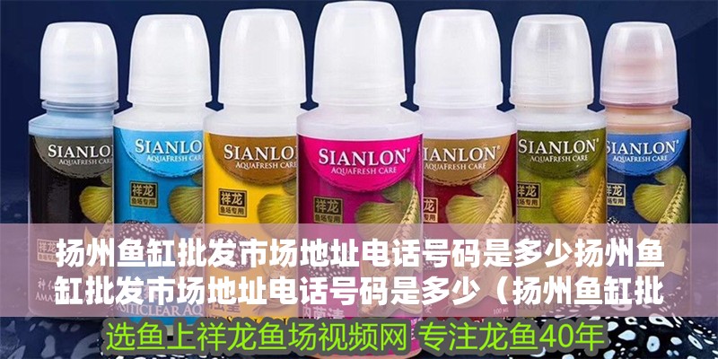 揚州魚缸批發市場地址電話號碼是多少揚州魚缸批發市場地址電話號碼是多少（揚州魚缸批發市場地址及電話號碼是多少）