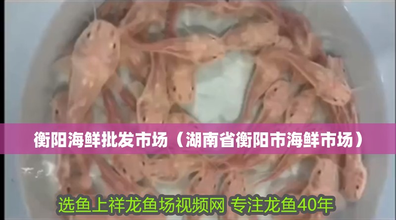 衡陽海鮮批發市場（湖南省衡陽市海鮮市場）