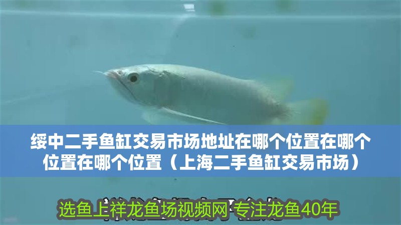綏中二手魚缸交易市場地址在哪個位置在哪個位置在哪個位置（上海二手魚缸交易市場） 綏中二手魚缸交易市場地址在哪個位置在哪個位置在哪個位置（上海二手魚缸交易市場） 觀賞魚百科