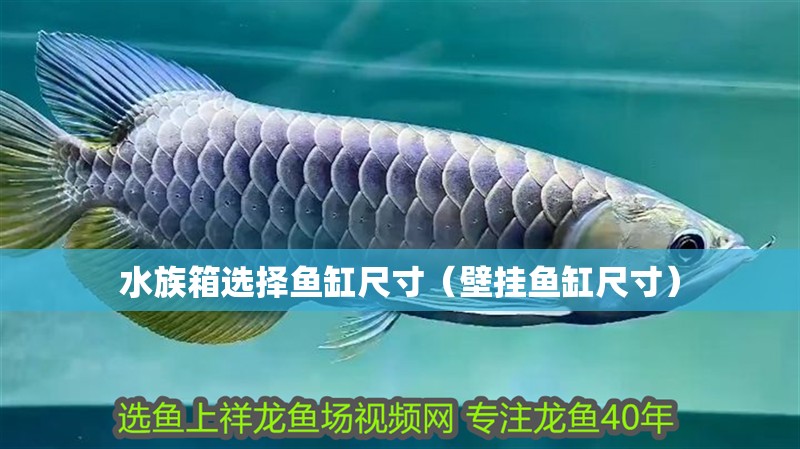 水族箱選擇魚缸尺寸（壁掛魚缸尺寸）