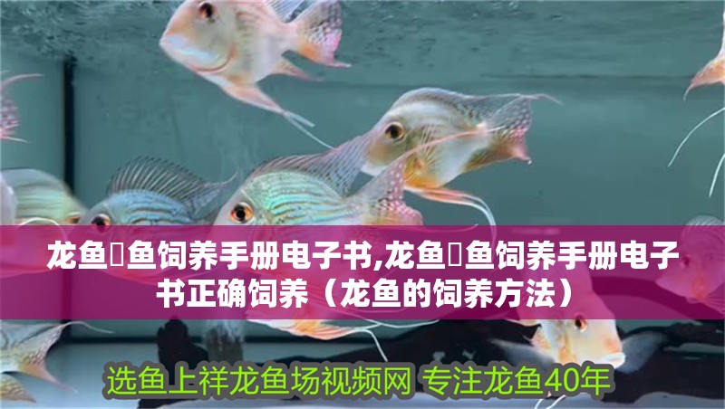 龍魚魟魚飼養手冊電子書,龍魚魟魚飼養手冊電子書正確飼養（龍魚的飼養方法）