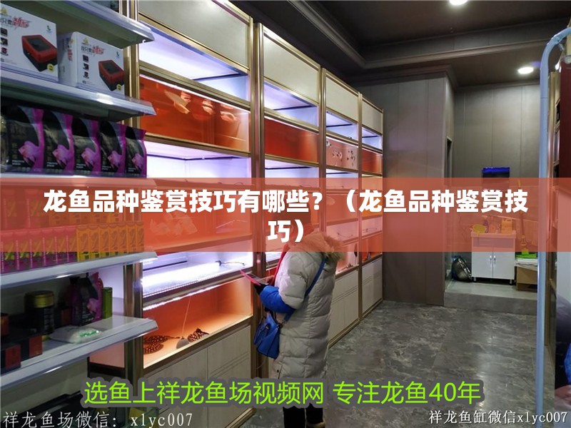龍魚品種鑒賞技巧有哪些？（龍魚品種鑒賞技巧）