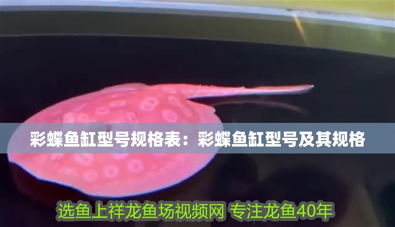彩蝶魚缸型號規格表：彩蝶魚缸型號及其規格