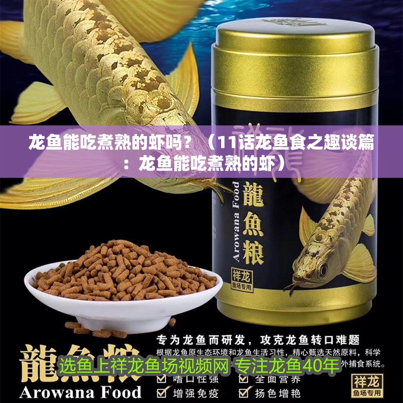 龍魚能吃煮熟的蝦嗎？（11話龍魚食之趣談篇：龍魚能吃煮熟的蝦）