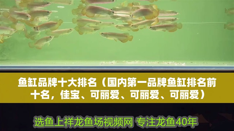 魚缸品牌十大排名（國內第一品牌魚缸排名前十名，佳寶、可麗愛、可麗愛、可麗愛） 魚缸品牌十大排名（國內第一品牌魚缸排名前十名，佳寶、可麗愛、可麗愛、可麗愛） 觀賞魚百科