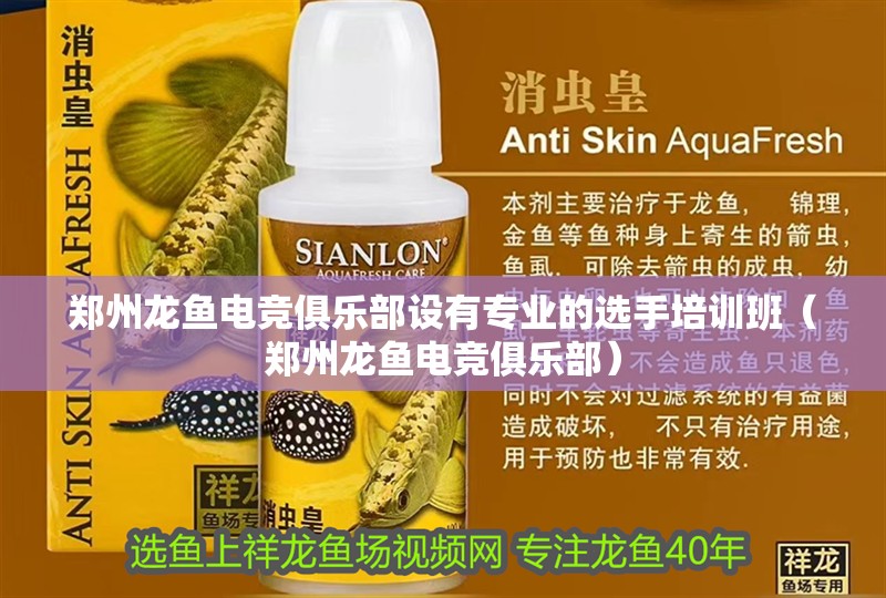 鄭州龍魚電競俱樂部設有專業的選手培訓班（鄭州龍魚電競俱樂部）