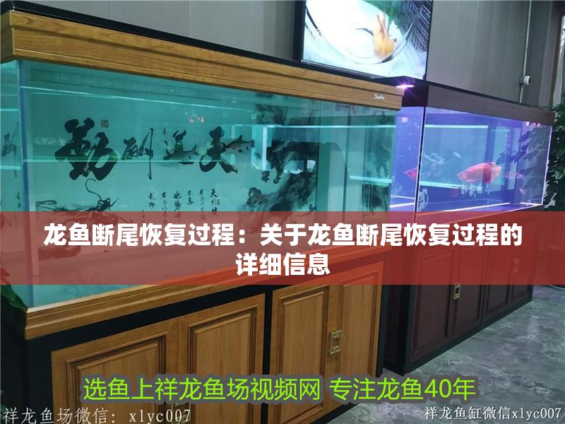 龍魚斷尾恢復過程：關于龍魚斷尾恢復過程的詳細信息
