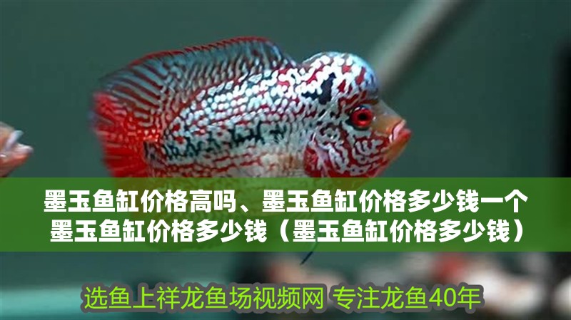 <strong><mark>墨玉</mark></strong>魚缸價格高嗎、<strong><mark>墨玉</mark></strong>魚缸價格多少錢一個<strong><mark>墨玉</mark></strong>魚缸價格多少錢（<strong><mark>墨玉</mark></strong>魚缸價格多少錢）