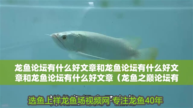 龍魚論壇有什么好文章和龍魚論壇有什么好文章和龍魚論壇有什么好文章（龍魚之巔論壇有什么好文章）