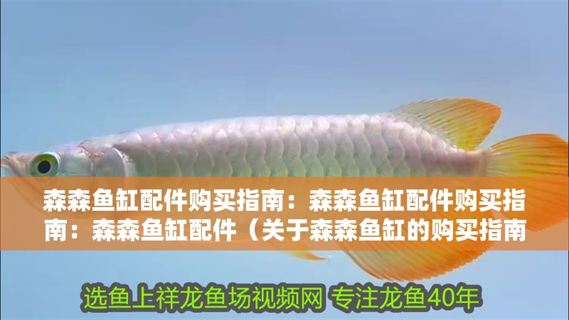 森森魚缸配件購買指南：森森魚缸配件購買指南：森森魚缸配件（關于森森魚缸的購買指南）