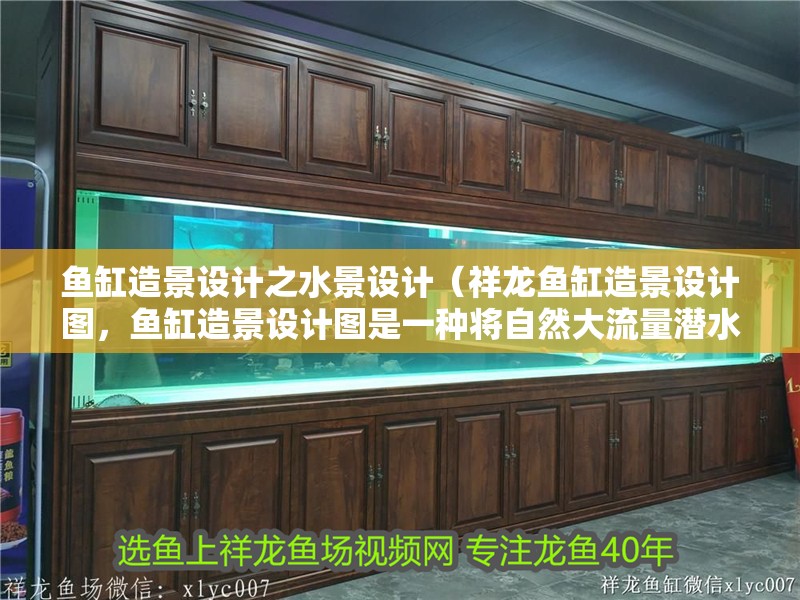 魚缸造景設(shè)計(jì)之水景設(shè)計(jì)（祥龍魚缸造景設(shè)計(jì)圖，魚缸造景設(shè)計(jì)圖是一種將自然大流量潛水景觀）